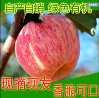 河南特产农家自销红富士苹果新鲜有机水果黄河故道特产10斤包邮