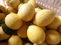 【乡土柠檬】安岳柠檬新鲜10元包邮 鲜柠檬 黄柠檬 水果 2斤装