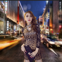 2016夏季新款女装韩版修身显瘦性感豹纹印花长袖蕾丝包臀连衣裙潮