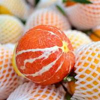 新鲜水果橙子秭归脐橙包邮中华红血橙柑子10斤亏本特价产地直发