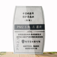 pm2.5防护口罩过滤片滤芯5层防尘男女士防雾霾n95成人儿童立体