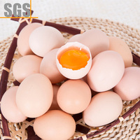 【买2减5元】新鲜土鸡蛋20枚一盒1688源生鲜货源农家笨鸡蛋