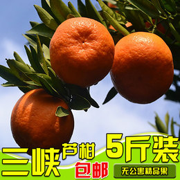 5斤装包邮 正宗宜昌三峡芦柑 清江椪柑 蜜桔新鲜水果橘子桔子现摘
