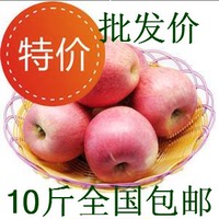 10斤陕西礼泉正宗秦冠苹果吃的 宝宝吃粉苹果面水果 全国18省包邮
