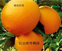江西赣南脐橙5斤现摘现发寻乌甜橙子农家新鲜水果全国包邮