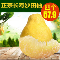 重庆特产新鲜水果柚子 长寿正宗沙田柚4个装 白心蜜柚包甜