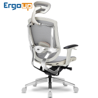 新款Ergoup电脑椅 人体工程学 升降旋转办公椅 家用时尚网布椅子