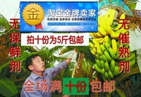 banana新鲜水果农家自种无催熟剂香蕉芭蕉大蕉批发250g满38元包邮