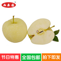 礼县黄元帅苹果黄金帅黄香蕉金冠有机绿色苹果新鲜水果10斤包邮