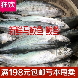 海货 海鲜 鲅鱼 海鱼  马鲛鱼，原价28元  包邮 4斤起拍 鲜活水产