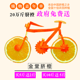 新鲜水果 金堂脐橙 精品橙子5.5斤产地直供现摘现发PK赣橙褚橙