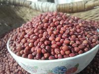甘肃红小豆农家自产老品种新豆山里老种子五谷杂粮特产赤小豆赤豆