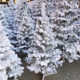 喷雪雪松植绒落雪雪花圣诞树1.2/1.5/1.8米圣诞节酒店市场装饰品