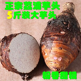 5斤装 桂林荔浦2015新鲜贡品槟榔芋头 包粉香甜 2斤左右