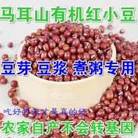 红小豆豆子 沂农家自产 女人红小豆 纯天然红豆 有机红豆