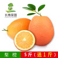 重庆长寿特产 新鲜水果柑橘橙子 脐橙 梨橙 5斤送1斤 果园直发