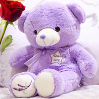 泰迪熊毛绒玩具熊大号抱抱熊薰衣草小熊公仔紫色熊猫生日礼物女生