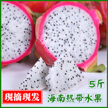 【果礼派】海南新鲜水果火龙果白心白肉胜越南进口火龙果5斤包邮