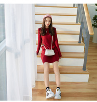 2015韩国东大门女装秋冬季新款兔绒包芯纱长袖插袋打底连衣裙