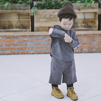 PANPAN BABY韩国定制男女宝宝儿童鹿皮绒质感上衣+七分裤套装