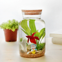 绿伴创意加灯水族生态瓶桌面金鱼缸迷你小型热带鱼玻璃罐盖子斗鱼