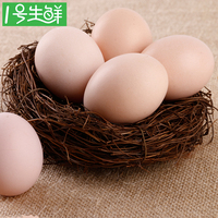 20枚土鸡蛋【1号生鲜】两天内新鲜土鸡蛋农家散养土鸡蛋纯天然