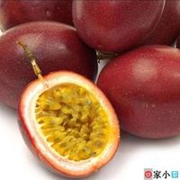 越南新鲜水果进口百香果原浆可美容去火的西番莲拍20件为4斤包邮