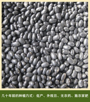 2015平谷自种有机五谷杂粮 白仁黑豆 乌豆 黑芸豆 真空包装