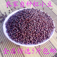 山东 农家自产 红小豆 新货 纯天然 有机 笨 红豆 500g五谷杂粗粮
