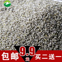 特价2015年新鲜陕北黑小米农家杂粮土特产250g试吃体验装