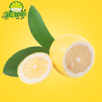 黄柠檬安岳四川特产现摘新鲜水果薄皮多汁特价批发柠檬中果1500g