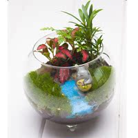 生态赋城 苔藓微景观生态瓶龙猫办公室迷你盆栽植物玻璃创意礼物
