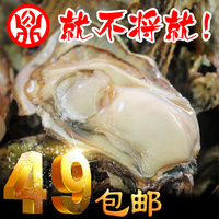 山东特产乳山牡蛎带壳鲜活野生海蛎子肉生蚝海鲜水产品批发5斤装