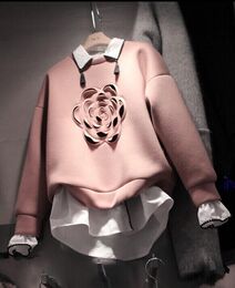 韩国代购16东大门秋冬季新款小香风宽松假两件套太空棉卫衣女套头