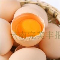 云南昆明生鲜蔬菜水果肉鸡蛋水产同城配送橘园林下散养土鸡蛋20枚