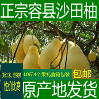 广西特产容县 正宗沙田柚 柚子甜香甜够水份10斤包邮部分地方