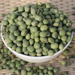 农家自产有机大青豆 优质豆浆专用青豆五谷杂粮 天然绿色食品