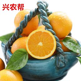精品脐橙（预售）新鲜水果橙子 现摘现发原生态多汁橙子12斤