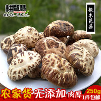 新货花菇 野生椴木花菇干货农家特级冬姑香菇类黄山土特产 250g