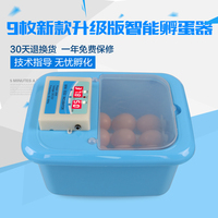 全自动家用型孵化机小鸡孵化设备小型孵化器鸡蛋孵蛋器鸟蛋孵化箱