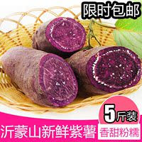 新鲜紫薯 紫心红薯 紫番薯 紫地瓜 山东地瓜 农家自种 5斤包邮