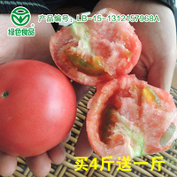 新鲜有机蔬菜 西红柿番茄洋柿子农家自种每份一斤。买4斤再送1斤