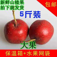 新鲜山楂果水果500g农家大红果精品大棉球无棱山楂红5斤包邮40