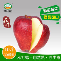 现摘礼县花牛苹果 新鲜甜脆粉天水蛇果苹果孕妇吃的水果10斤包邮