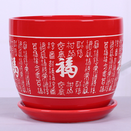 红色中国风陶瓷花盆带托盘 特大号个性创意桌面多肉植物盆栽包邮