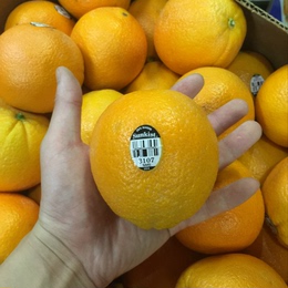 3107澳洲进口新奇士橙 新鲜水果脐橙橙子 5斤装江浙沪皖包邮