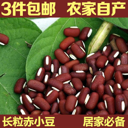 农家自产正宗 长粒赤小豆非红豆药用粗杂粮500g搭薏米