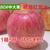 贡果园80烟台苹果栖霞红富士苹果五斤包邮 脆甜洛川苹果新鲜水果