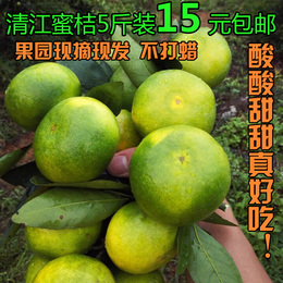 三峡蜜桔新鲜黄橘子薄皮酸甜桔子孕妇水果 现摘5斤15元精品果柑橘