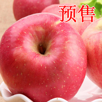 【预售】寒富红富士 苹果 有机比烟台冰糖心水果特产新鲜5斤包邮